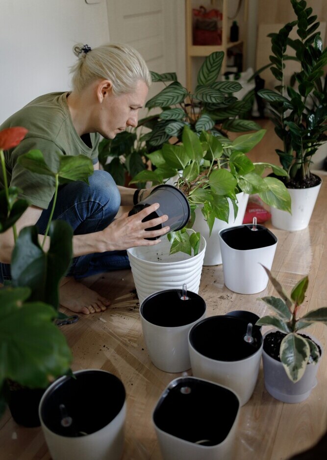hobbies that boost your mind